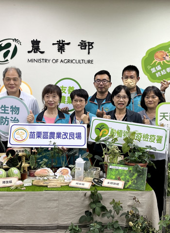專剋葉蟎! 苗栗農改場公開天敵益蟲「長毛小新綏蟎」量產技術 150餘種作物適用