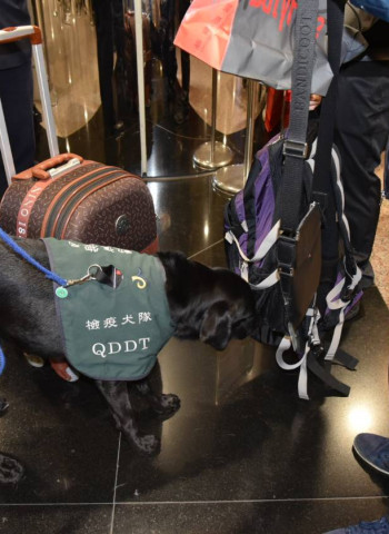 臺灣獲WOAH認定非洲豬瘟非疫區 農業部：積極洽談星、馬等外銷生鮮豬肉