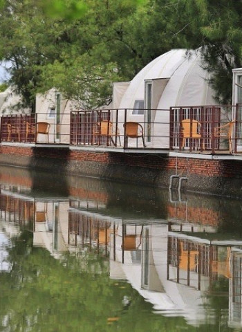 臺南露營新玩法!體驗異國風情與生態之美