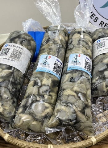 防越南、中國蚵洗產地 農業部推金門養殖登記、掌握生產數量