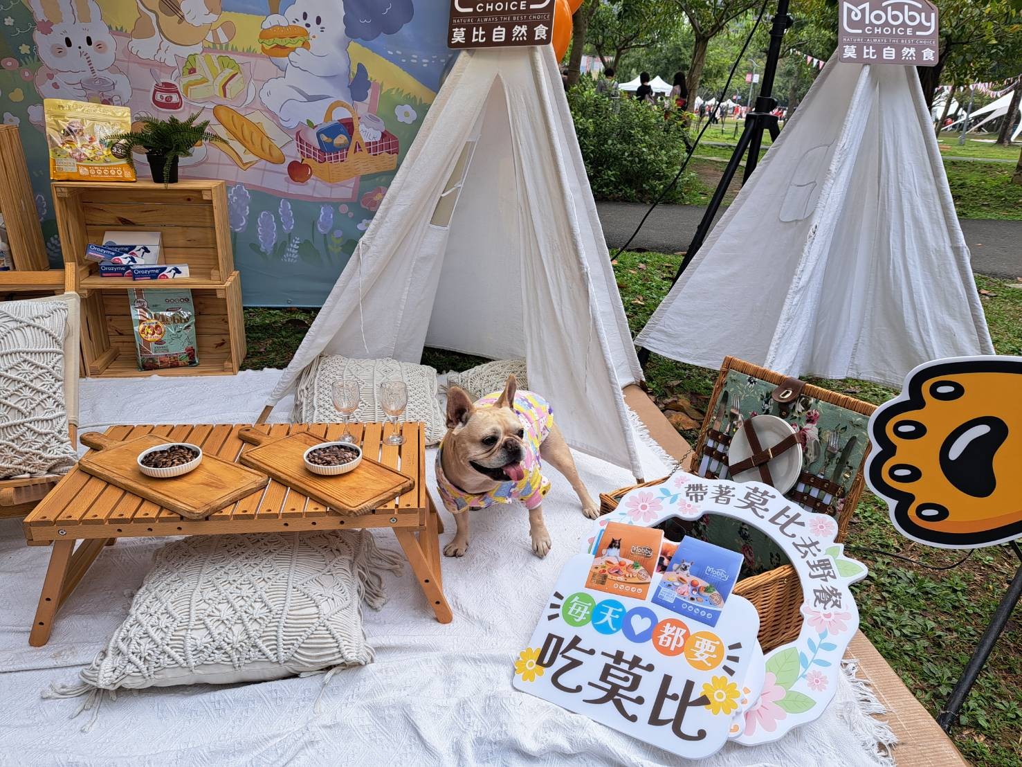 莫比自然食33週年送10萬元紀念金幣、Dyson家電再加碼「飼料包養一年」