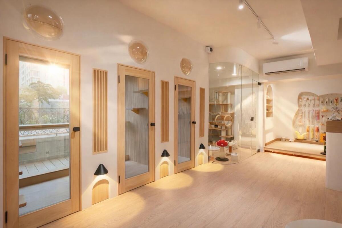 林口純貓旅館推薦 毛孩安心託付 細膩陪伴每一位貓寶貝