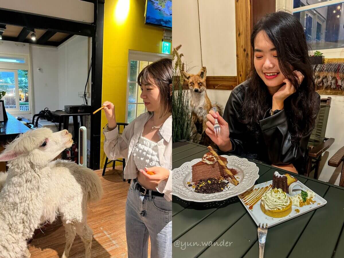 台北美食|台北近郊秘境陽明山美國村 6 家質感餐廳 享受復古風情與美味料理