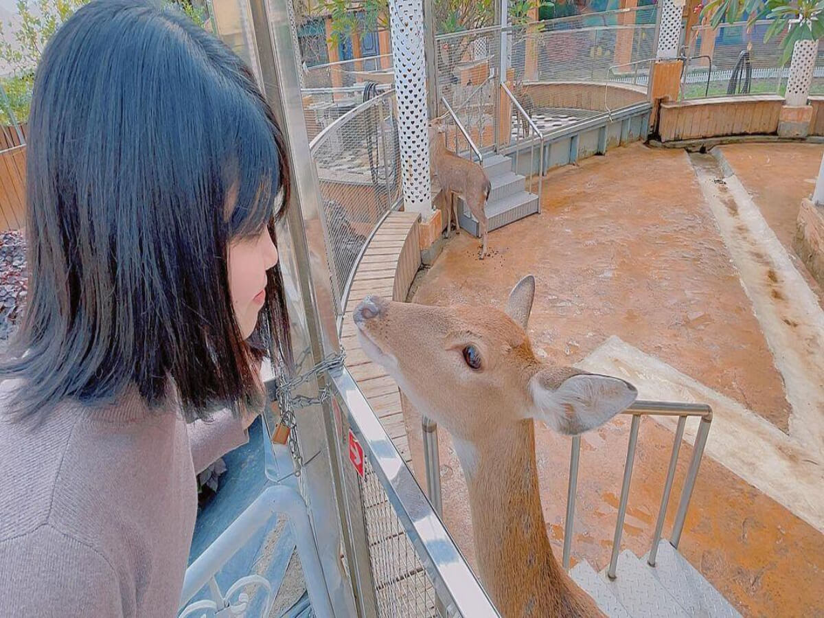 彰化親子農場|帶著孩子出門放電 餵食小動物玩水玩沙 記錄孩子成長