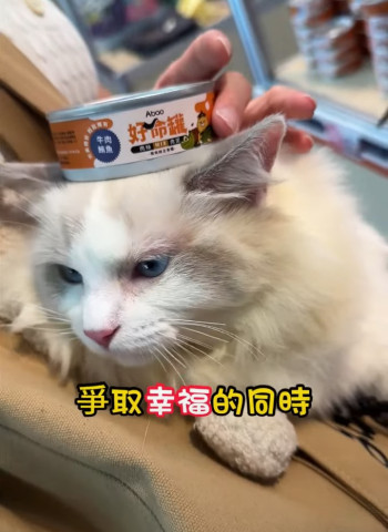 台中寵物展開箱！毛小孩萬聖狂歡慶！