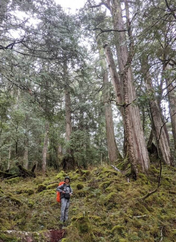 那是島嶼的骨與血與肉，我們不用打穿它——找樹的人談中央山脈