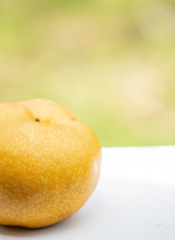 【品種植金】農業永續競爭力的智慧種子 新品種育成路迢迢、權利誰維護？