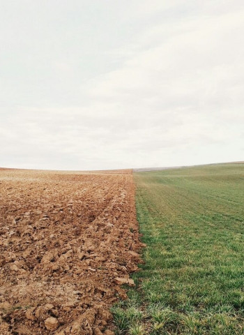減緩極端氣候 土壤碳匯對「碳中和」扮演重要角色