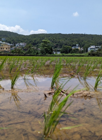 回應農村生活需求、提升農地管理及品質