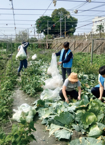 廢渣農村?那些農村裡的廢棄品、格外品與醜蔬果