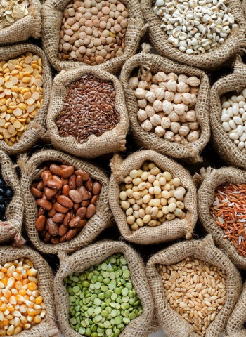 【入世二十年的臺灣農業01】從全球到區域 加入世貿後臺灣再迎自由化浪潮 CPTPP農業的防禦與進攻