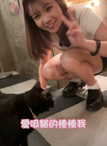 台中中區深夜咖啡廳推薦!!寵物友善!3隻店貓陪你喝咖啡!