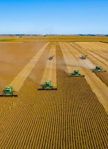 基改食品將帶來革命嗎?我們仍須明瞭風險