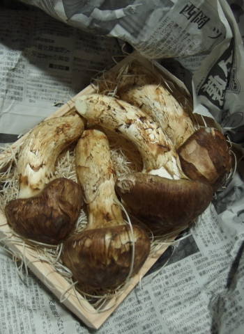 福島5縣食品輸入全解禁 食藥署:須檢附雙證、逐批檢驗