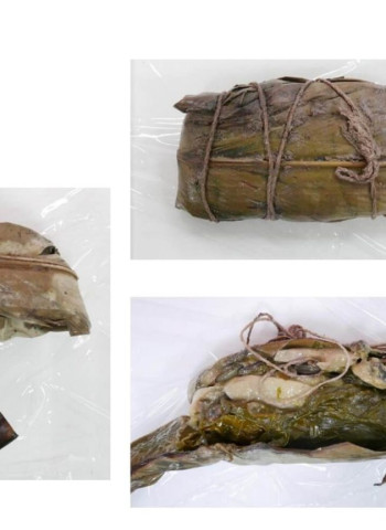 臺東蝸牛小米粽中毒案　食餘檢體驗出劇毒農藥「有機磷托福松」