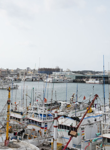 澎湖區漁會舉行第18屆首次代表大會 陳光復到場致詞盼強化漁業永續