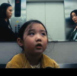 奧斯卡捷報！《左撇子女孩》入圍第98屆奧斯卡最佳國際影片15強短名單　臺灣電影再度挺進國際焦點