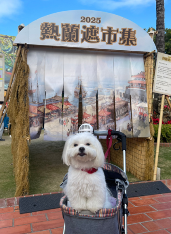 文化景點也有寵物友善!臺南寵物入園抽好禮活動開跑,帶毛寶貝一起抽大獎!