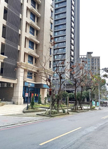 為何更多人選擇購買電梯大樓而非透天厝?專家分析兩者優缺點