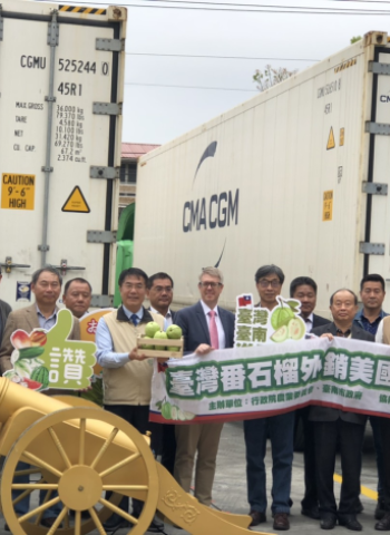 臺南芒果、芭樂成功叩關歐盟　臺南市府與中央聯手拓展農產外銷新市場