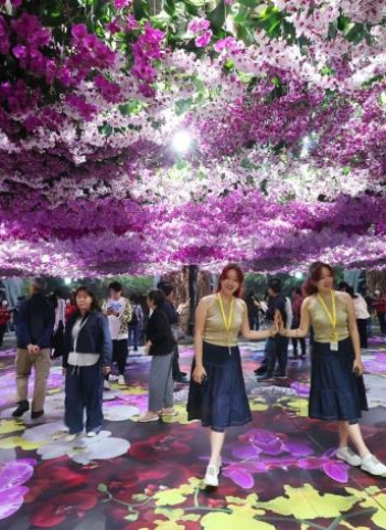 臺南旅遊新體驗─臺灣國際蘭展x山區小旅行