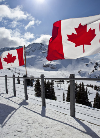 川普關稅政策影響加拿大二手車市場