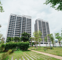 育兒扶老社宅新制上路　三峽國光二期與泰山中山青年社宅12月招租適用 一次看完租金優勢