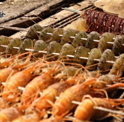 超熱門墾丁大街海鮮燒烤餐廳 現撈活蝦鮮味引爆饕客味蕾