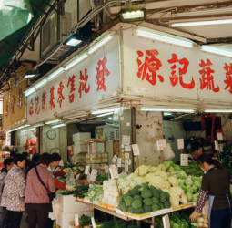 related blog