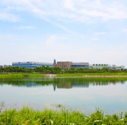 天明製藥上半年歸母淨利8421萬 EPS達0.98元 海外布局續添成長動能