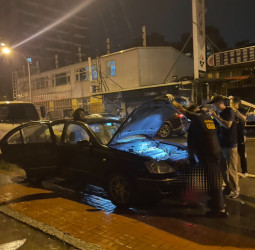 海巡署肅槍不停歇　對槍枝犯罪零容忍維護社會治安