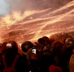 鹽水蜂炮活動整備完成　臺南市長黃偉哲要求強化安全管理與跨單位應變機制