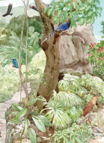 白天黑夜都精彩！臺北淺山生態摺頁揭開城市與自然共生的秘密世界