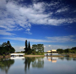 馬到成功迎新春！新化年貨大街、虎頭埤、奇美博物館串聯臺南春節樂購遊