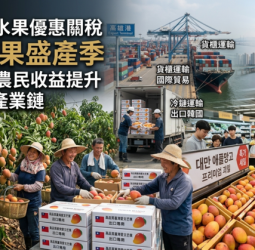 韓國延長香蕉鳳梨芒果優惠關稅至8月15日　農業部感謝各界爭取助攻臺灣水果外銷韓國市場