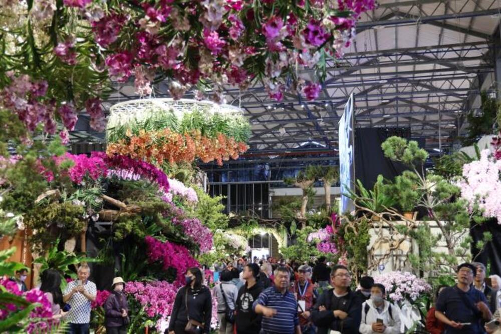 AI花海邂逅春日浪漫　2026臺灣國際蘭展串聯燈會打造婦女節蘭花賞花新體驗