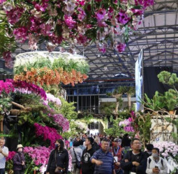 AI花海邂逅春日浪漫　2026臺灣國際蘭展串聯燈會打造婦女節蘭花賞花新體驗