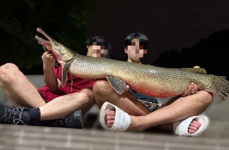 228公園吉祥物鱷雀鱔遭吃掉引爆爭議　成大釣魚社前幹部遭起底、北市府開罰2人各3600元