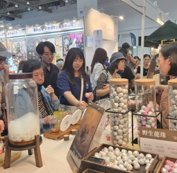 臺中國際會展中心帶動650億元商機　137萬人次湧入掀中臺灣會展經濟熱潮