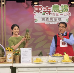 臺南關廟鳳梨40分鐘完售！臺南市長黃偉哲電視購物直播狂賣8公噸　連霸多年口碑爆棚再掀搶購潮