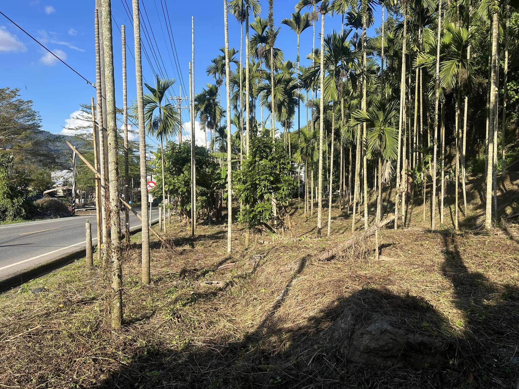 臺南市政府5月14日農地開標！市長黃偉哲邀請各界踴躍投標，把握投資良機