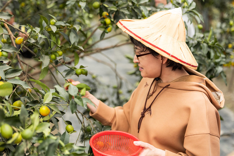 蕭美琴副總統關心礁溪金柑產業 推動農業六級產業化與科技化帶動地方發展