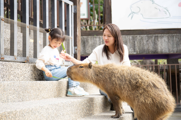 光復節連假樂園優惠一次看 壽星免費、變裝入園、親子放電都有折扣
